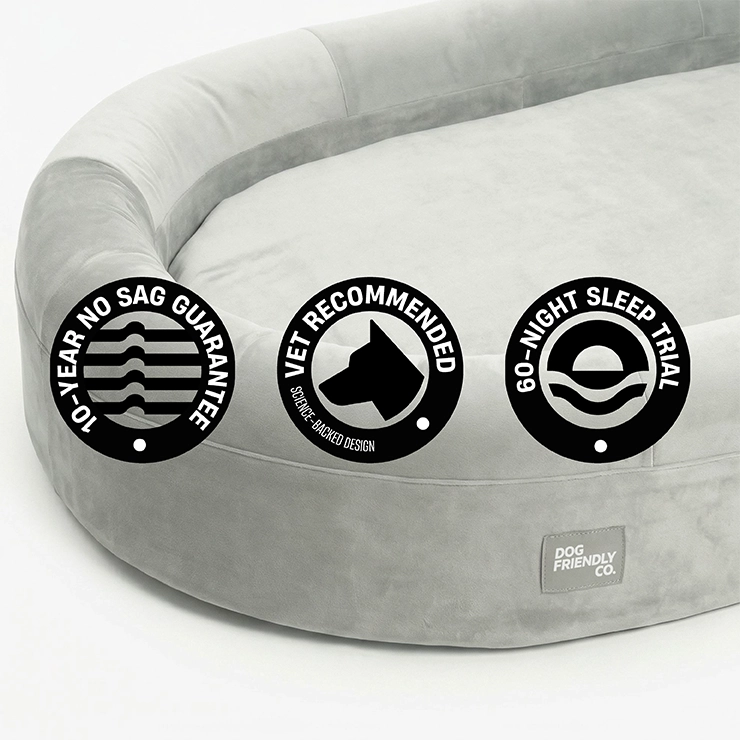 Chill Pill Memory Foam Dog Bed - Grey (Small)