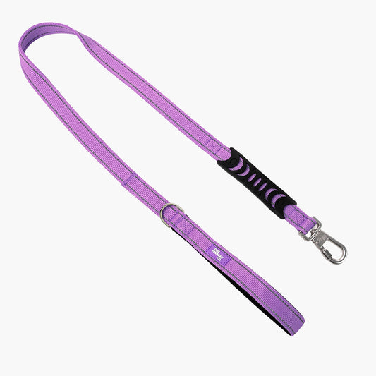 Classic Dog Leash - Purple