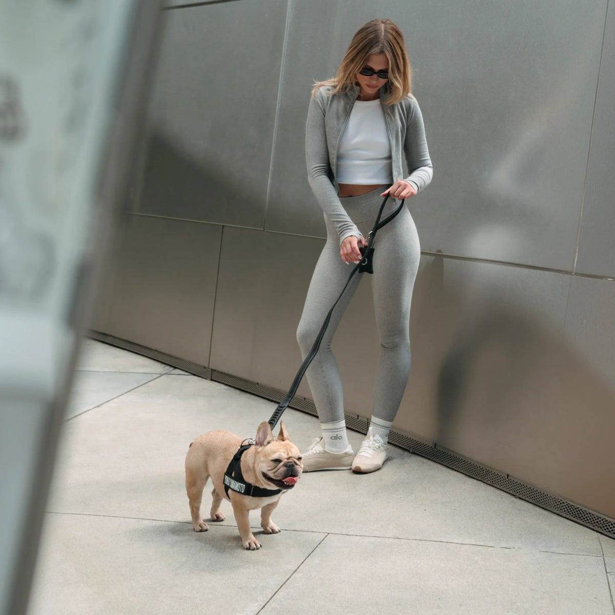 Classic Dog Leash - Black