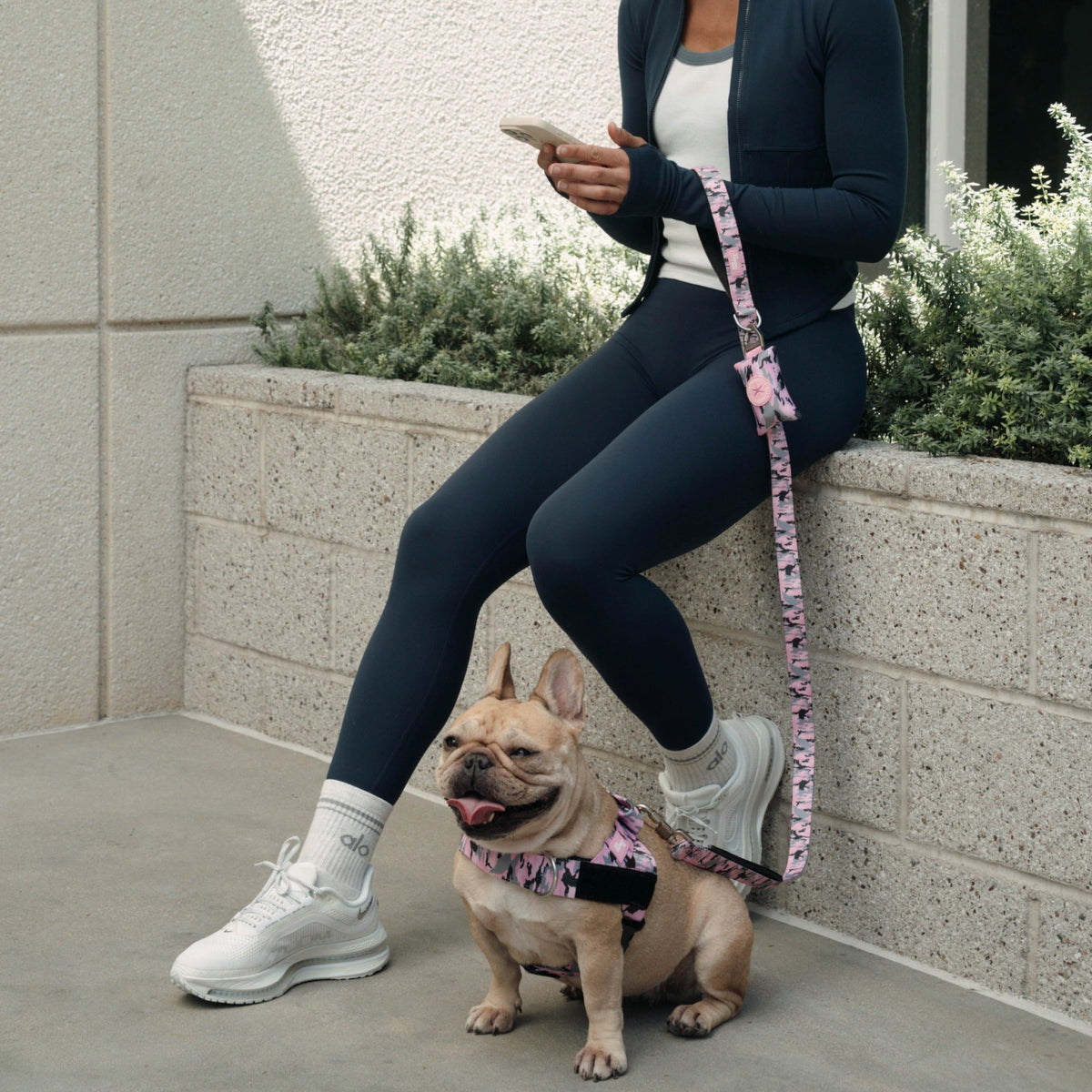 Classic Dog Leash - Pink Camo