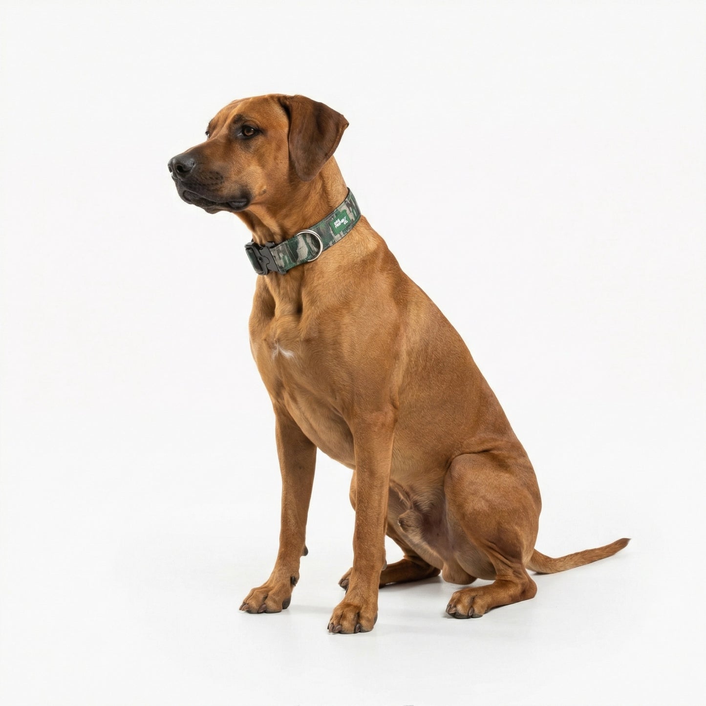 Collar Walk Set - Green Camo