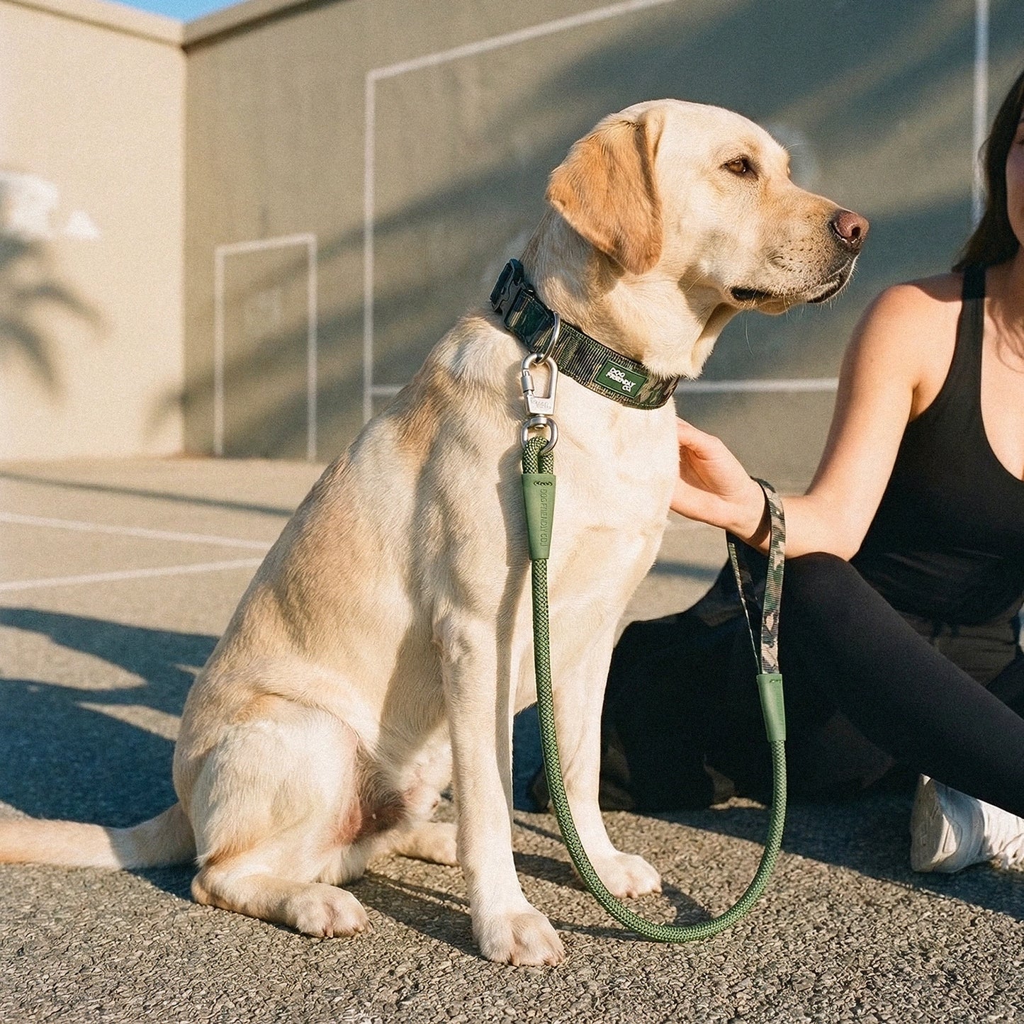 Collar Walk Set - Green Camo