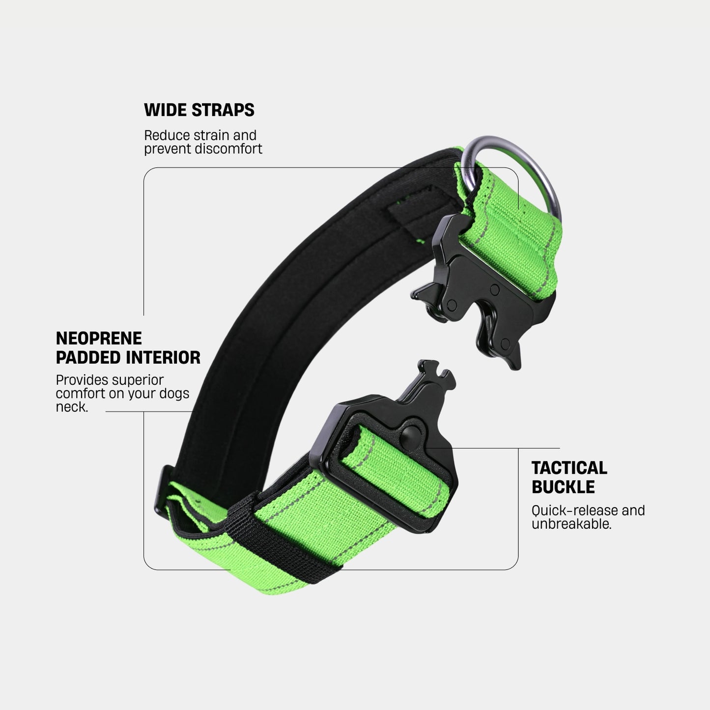 Collar Walk Set - Neon Green