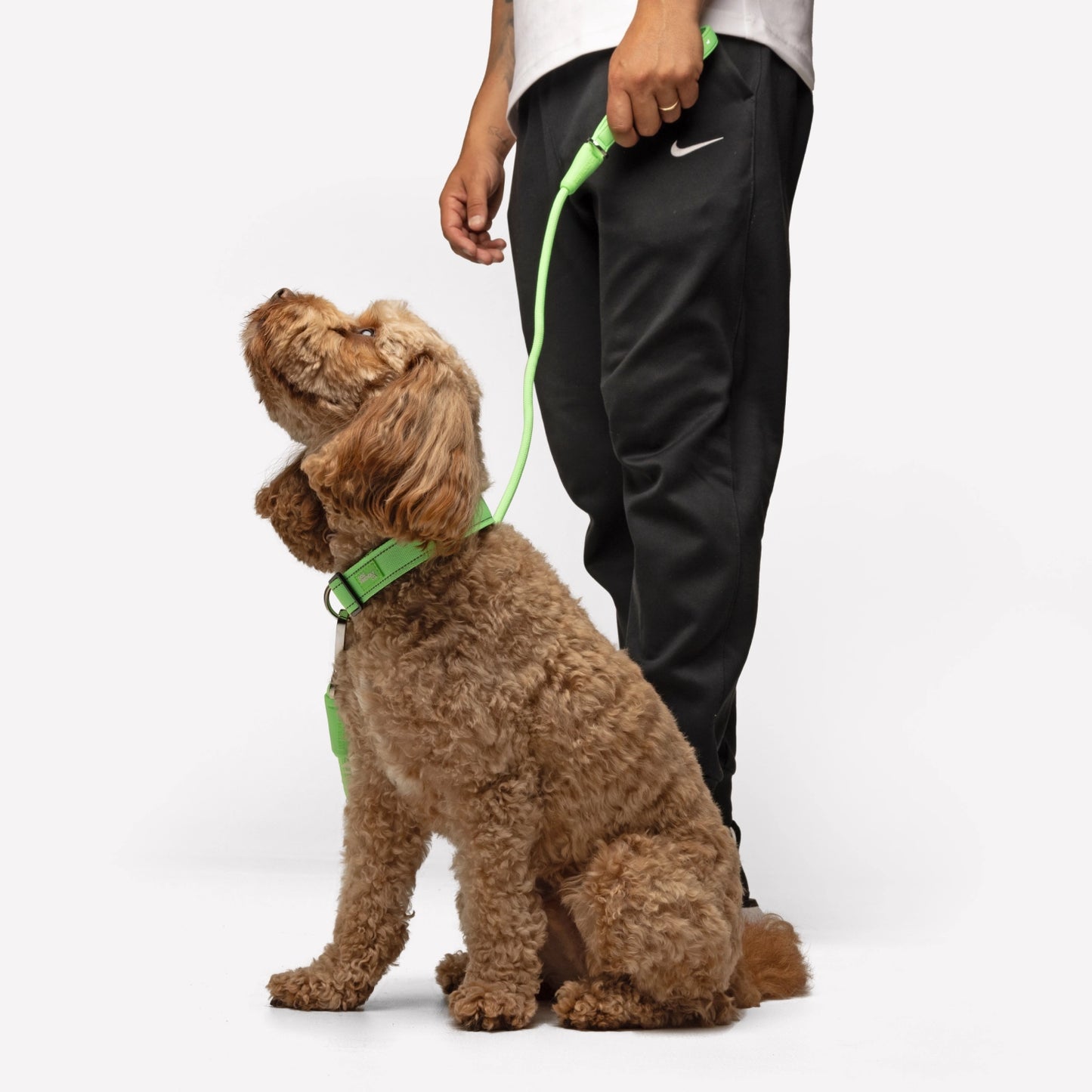 Collar Walk Set - Neon Green