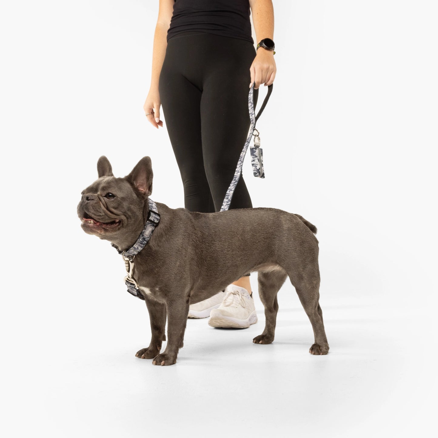 Collar Walk Set - Grey Camo