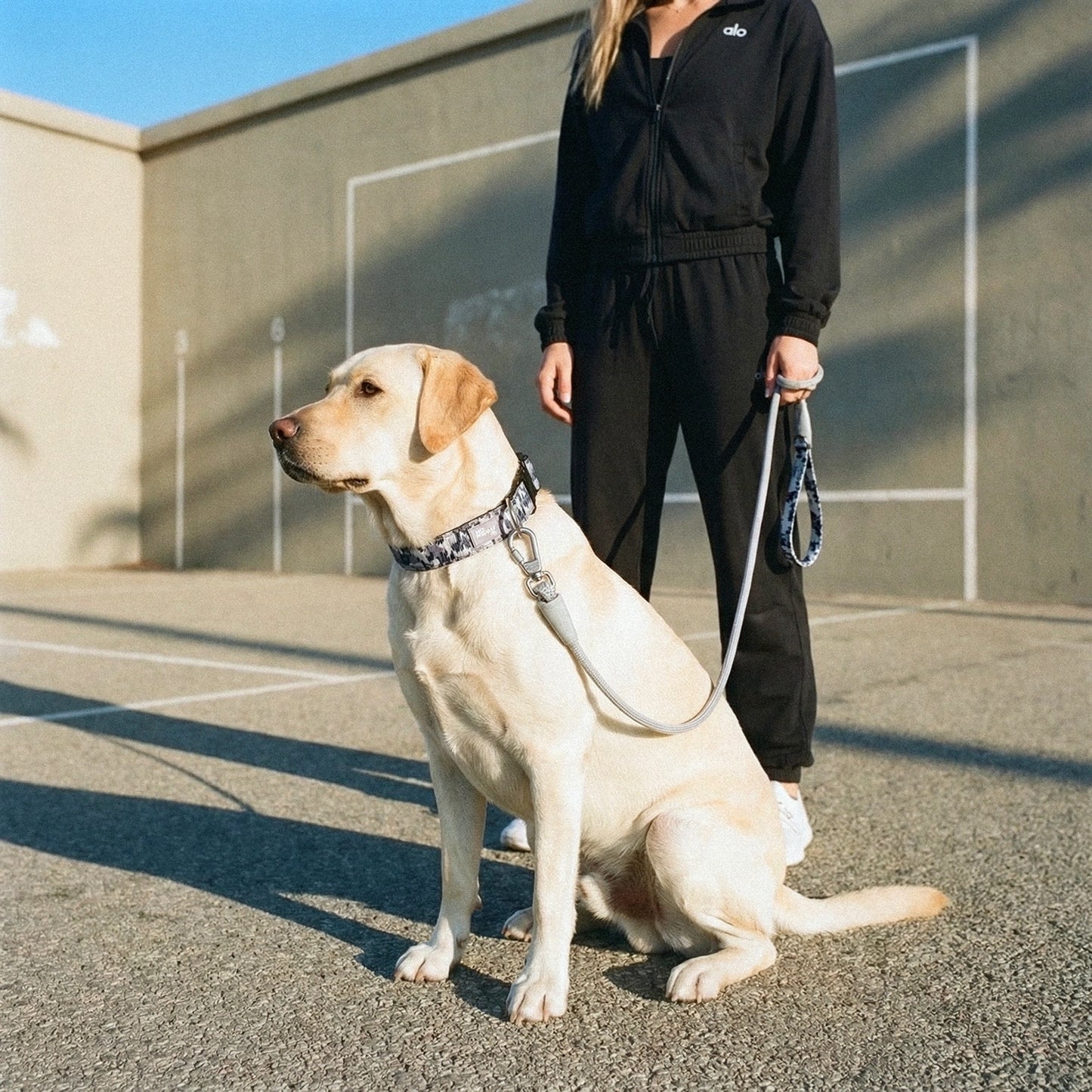 Collar Walk Set - Grey Camo