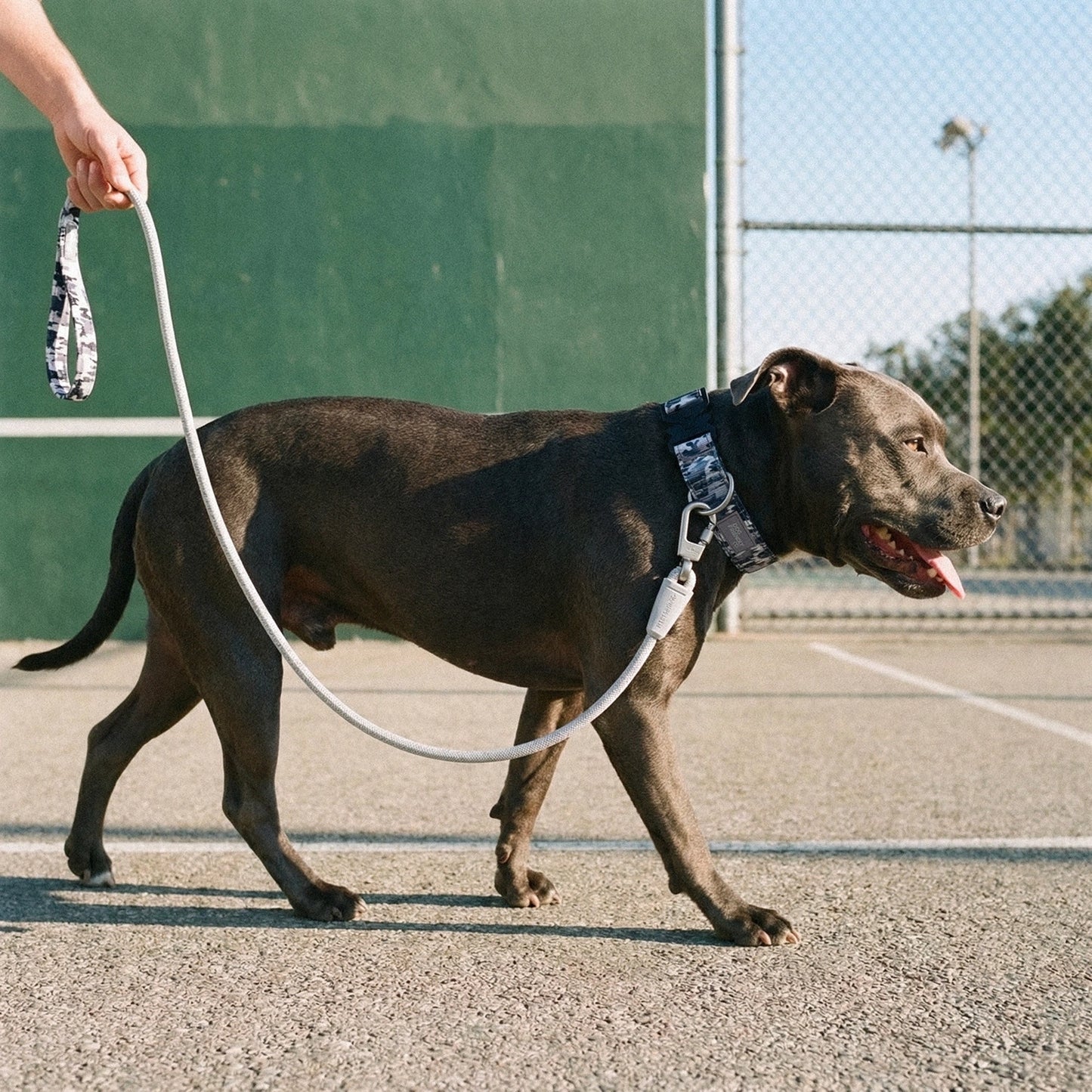 Collar Walk Set - Grey Camo