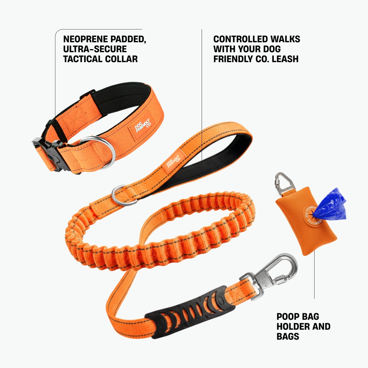 Collar Walk Set - Hi-Vis Orange