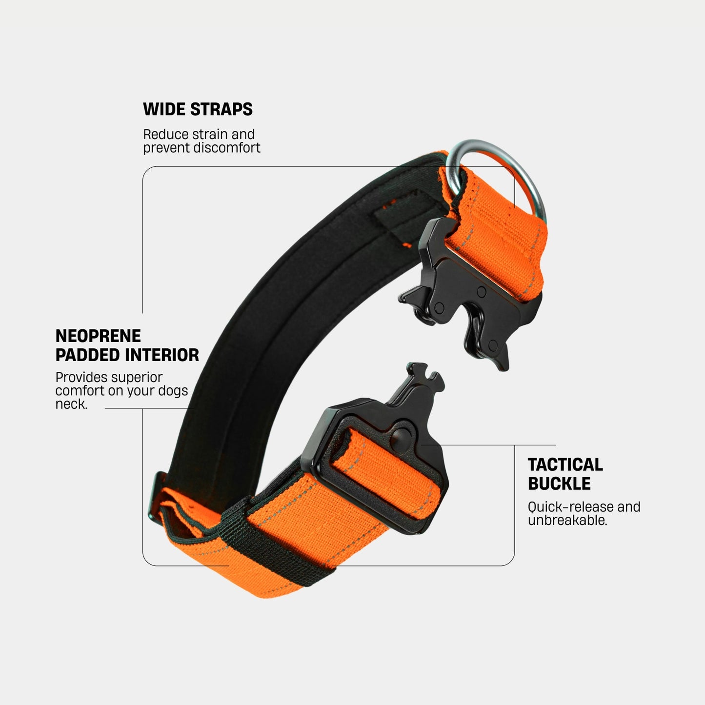 Collar Walk Set - Hi-Vis Orange