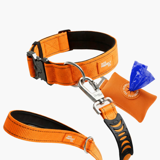 Collar Walk Set - Hi-Vis Orange