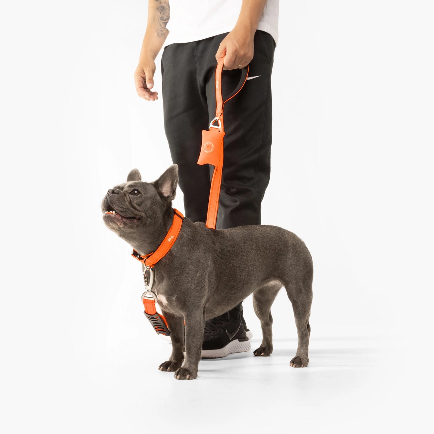 Collar Walk Set - Hi-Vis Orange