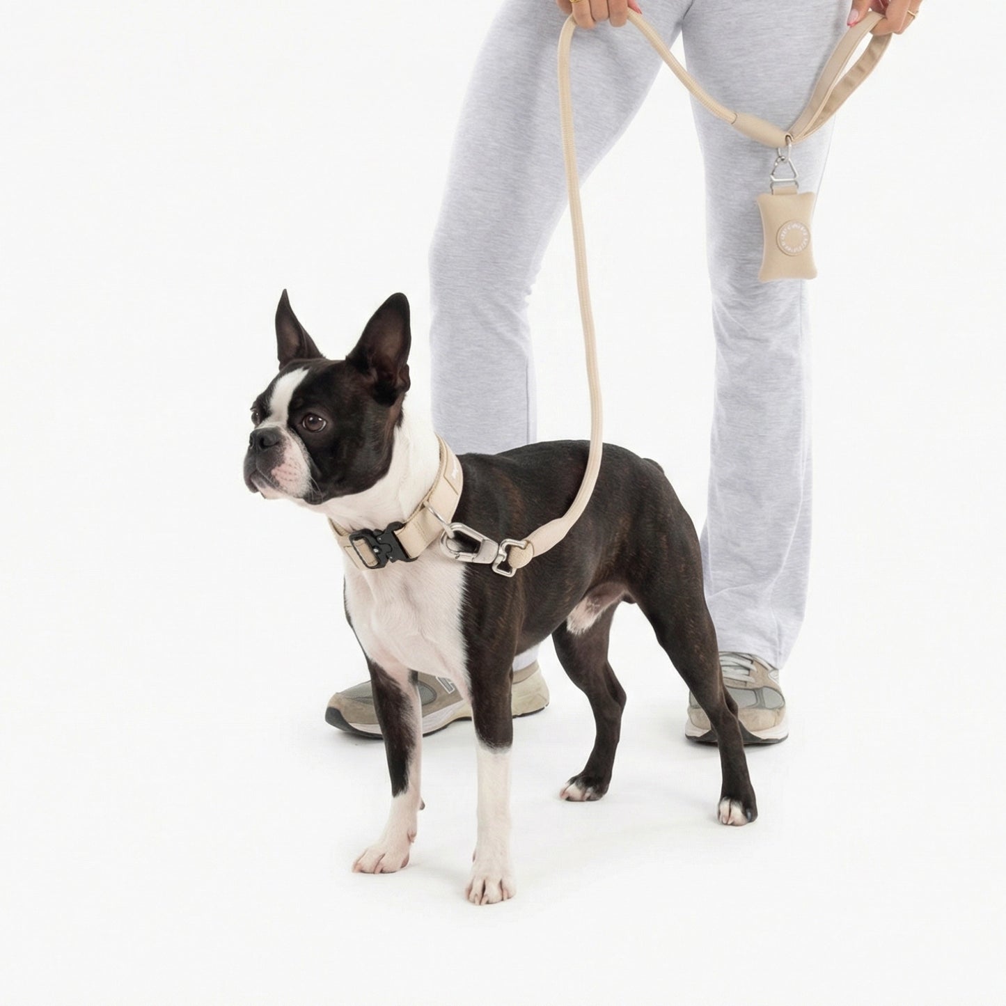 Collar Walk Set - Brown