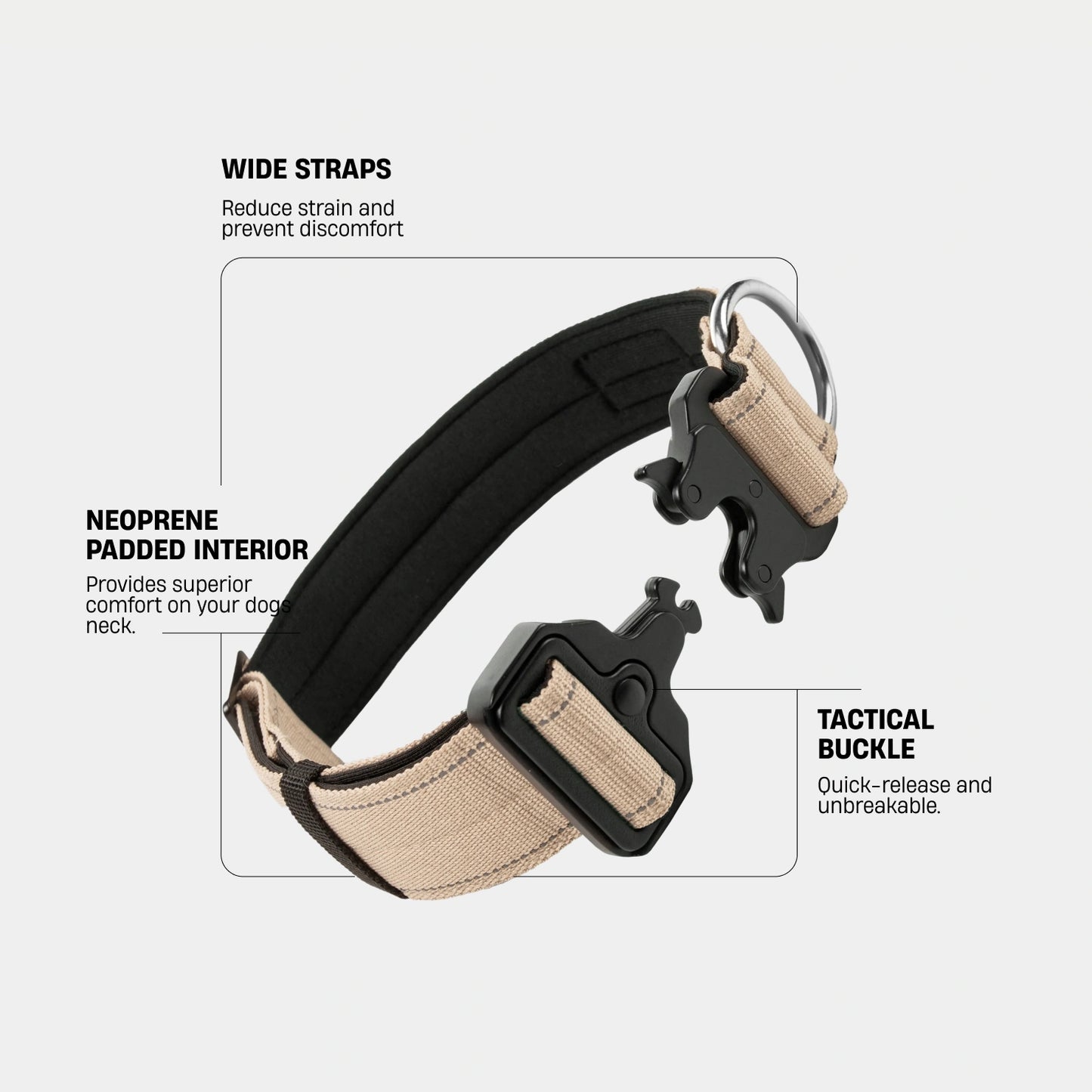 Collar Walk Set - Brown