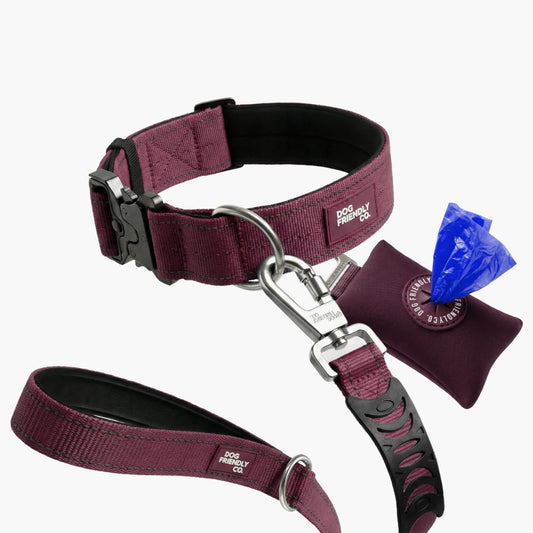 Collar Walk Set - Burgundy
