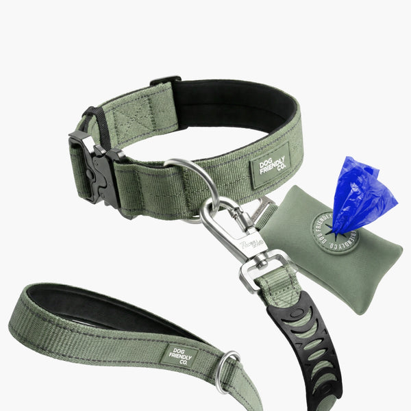 Collar Walk Set