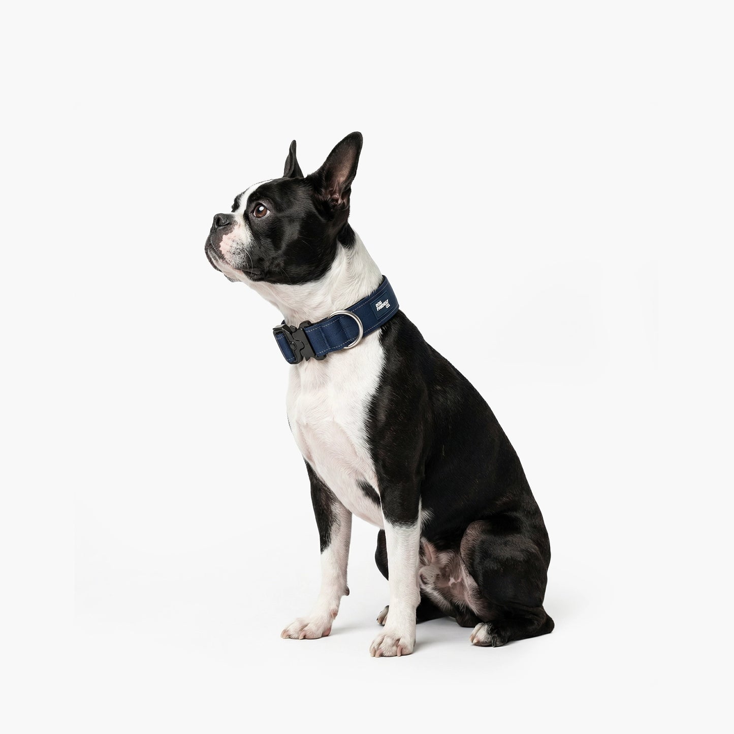 Collar Walk Set - Navy Blue