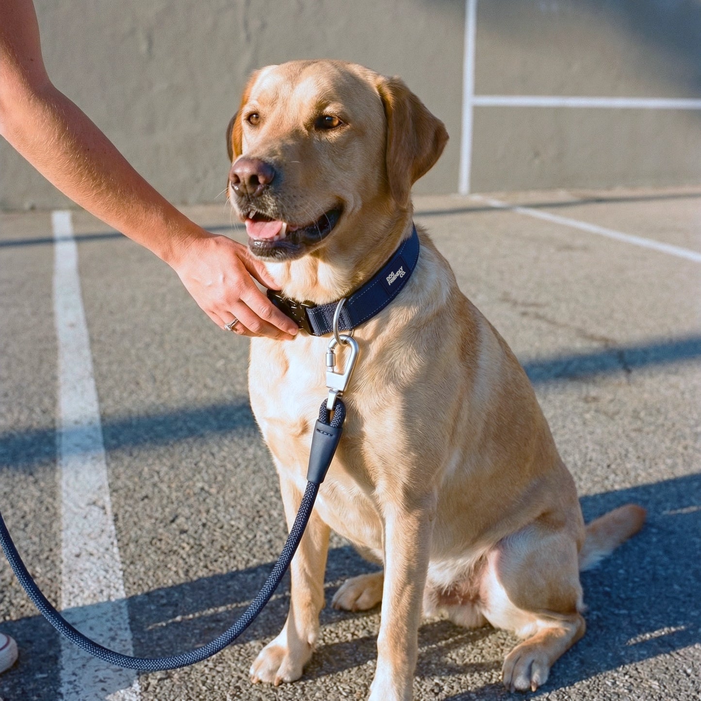 Collar Walk Set - Navy Blue