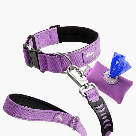 Collar Walk Set - Purple