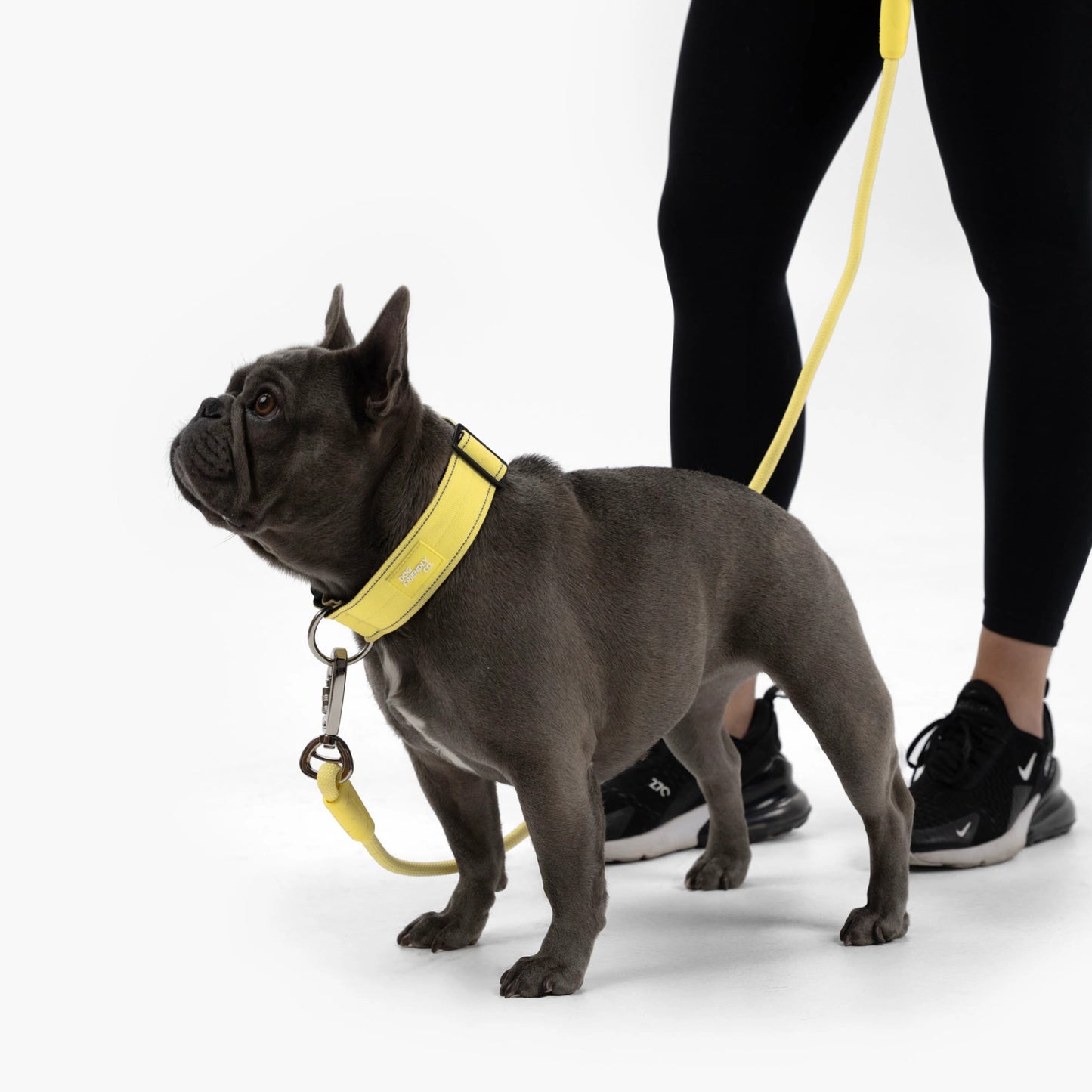 Collar Walk Set - Yellow