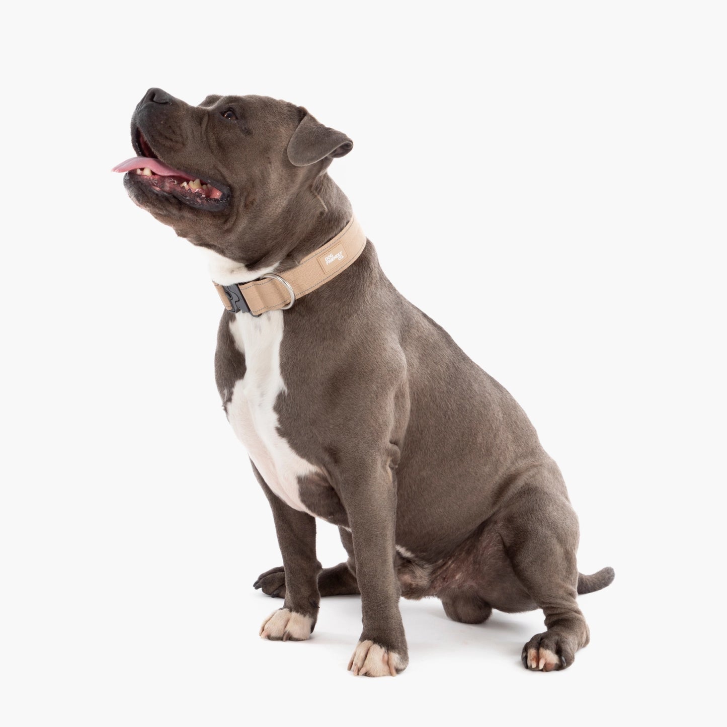 Tactical Dog Collar - Brown