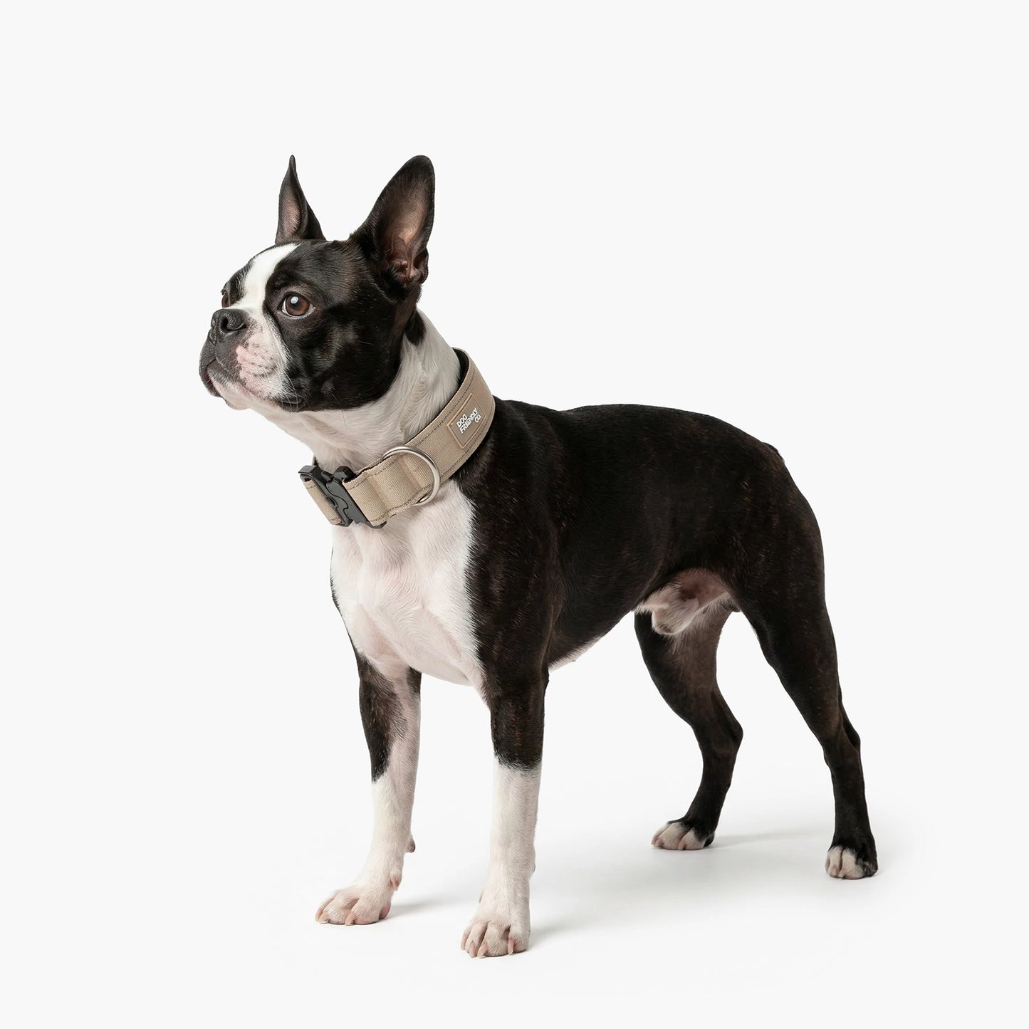 Tactical Dog Collar - Brown