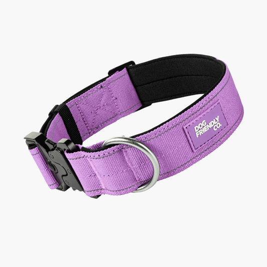 Tactical Dog Collar - Purple