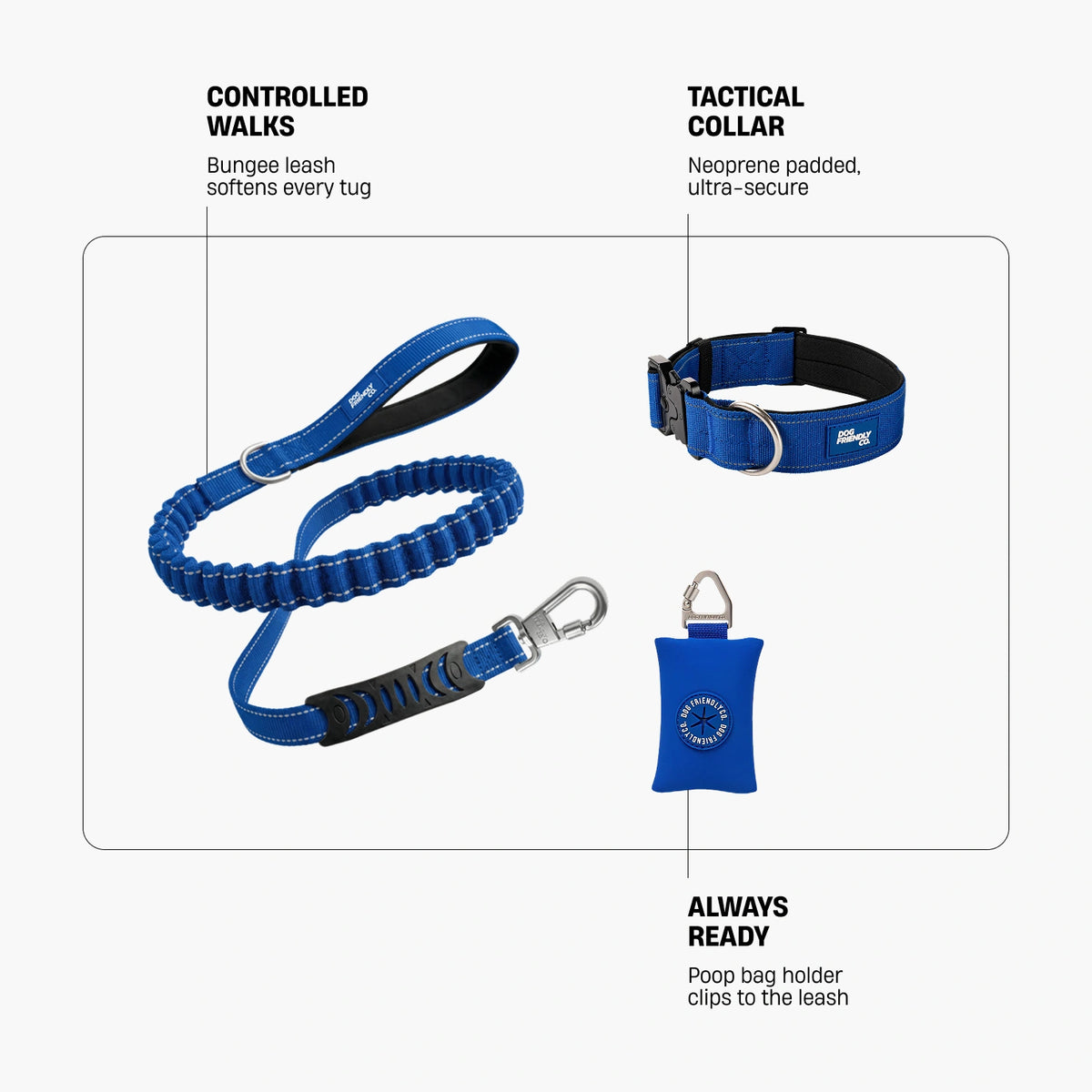 Collar Walk - Classic Blue