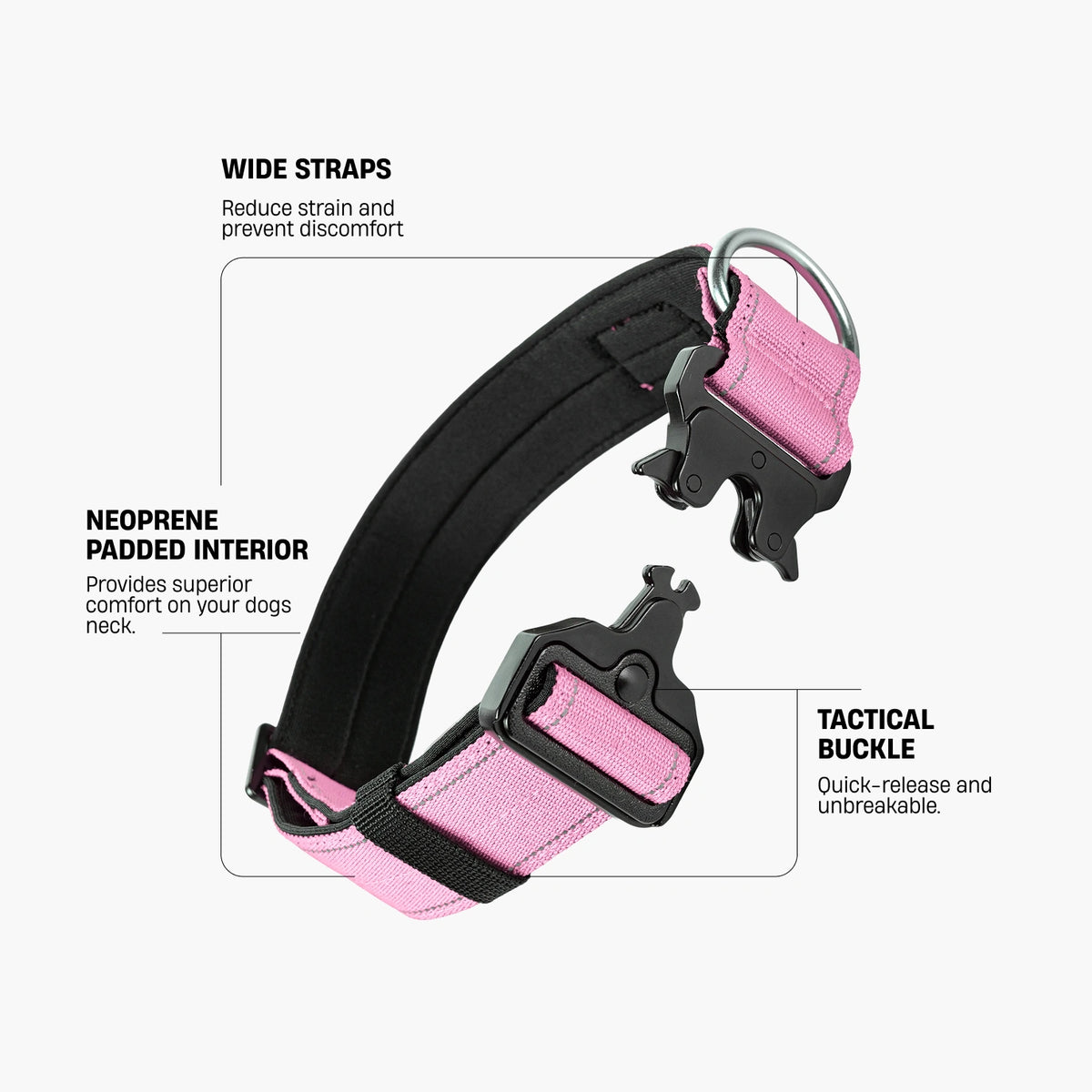Collar Walk - Pink