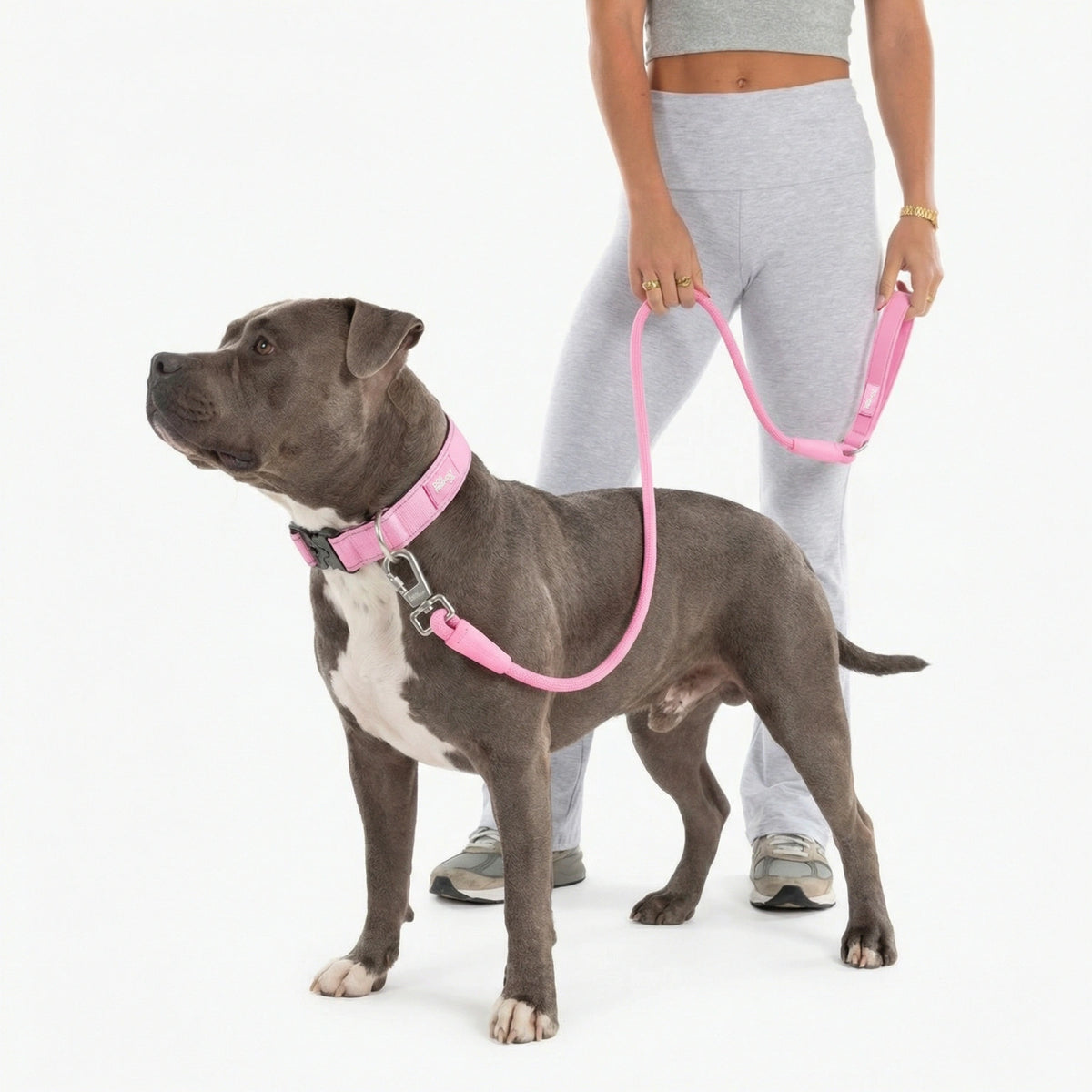 Collar Walk - Pink