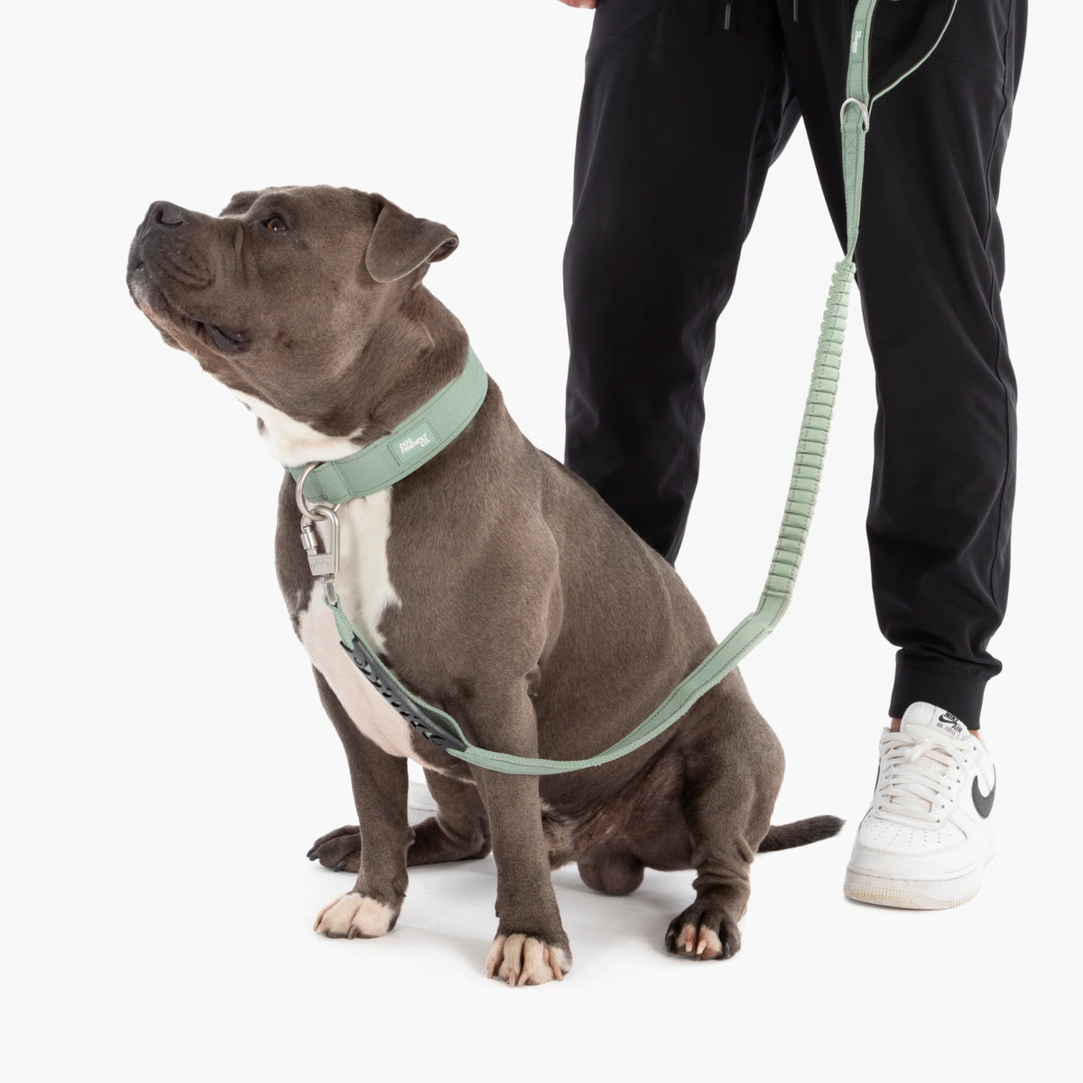 Collar Walk - Premium Khaki