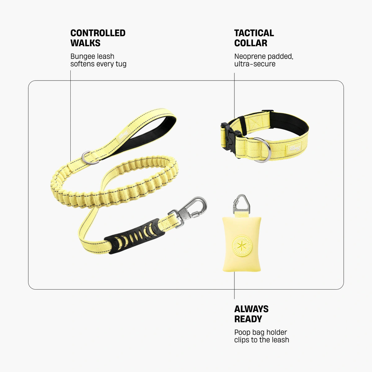 Collar Walk - Yellow