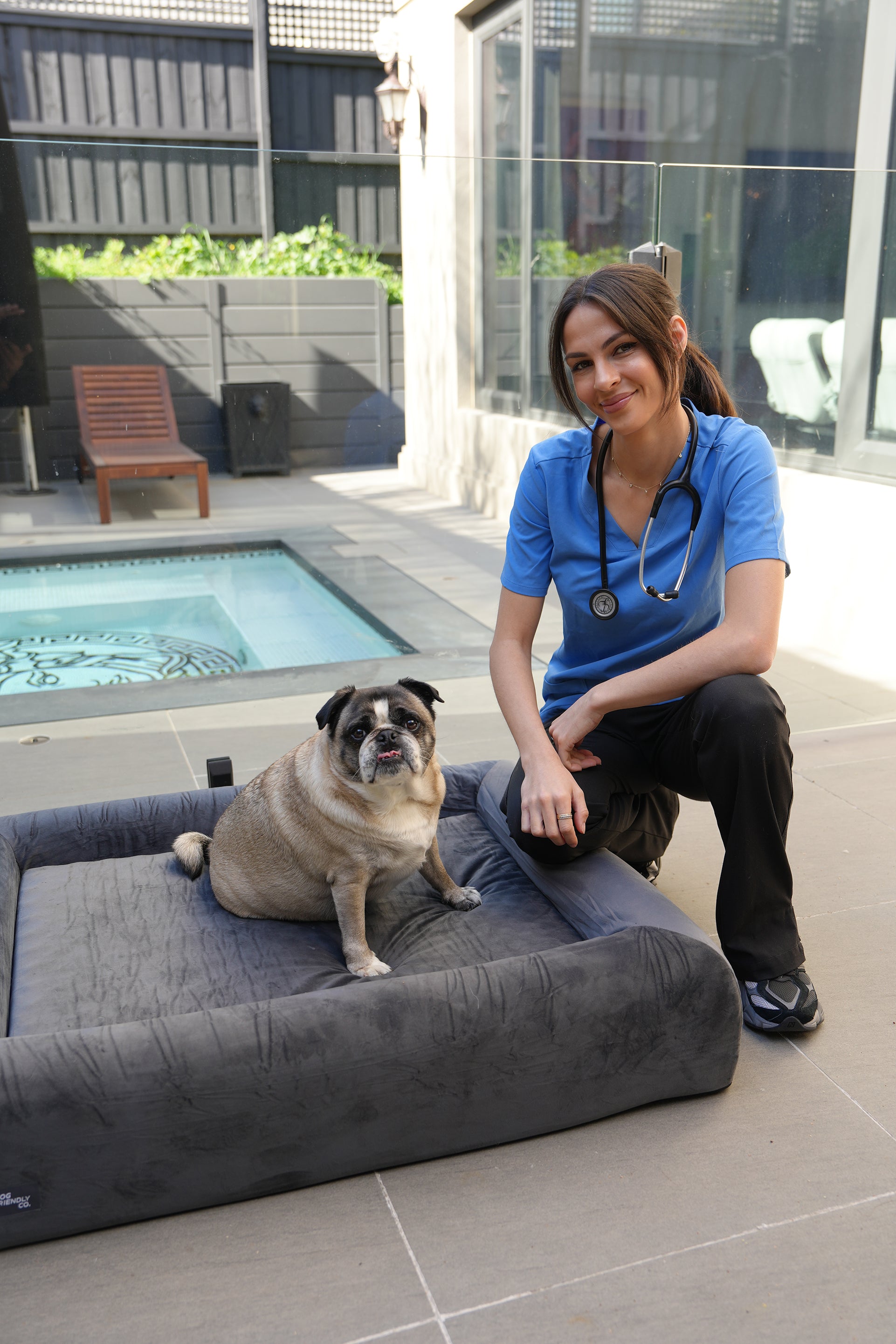 Vets Recommend Dog Friendly Co. for Dogs with Arthritis, Hip Dysplasia, and Other Joint Conditions.