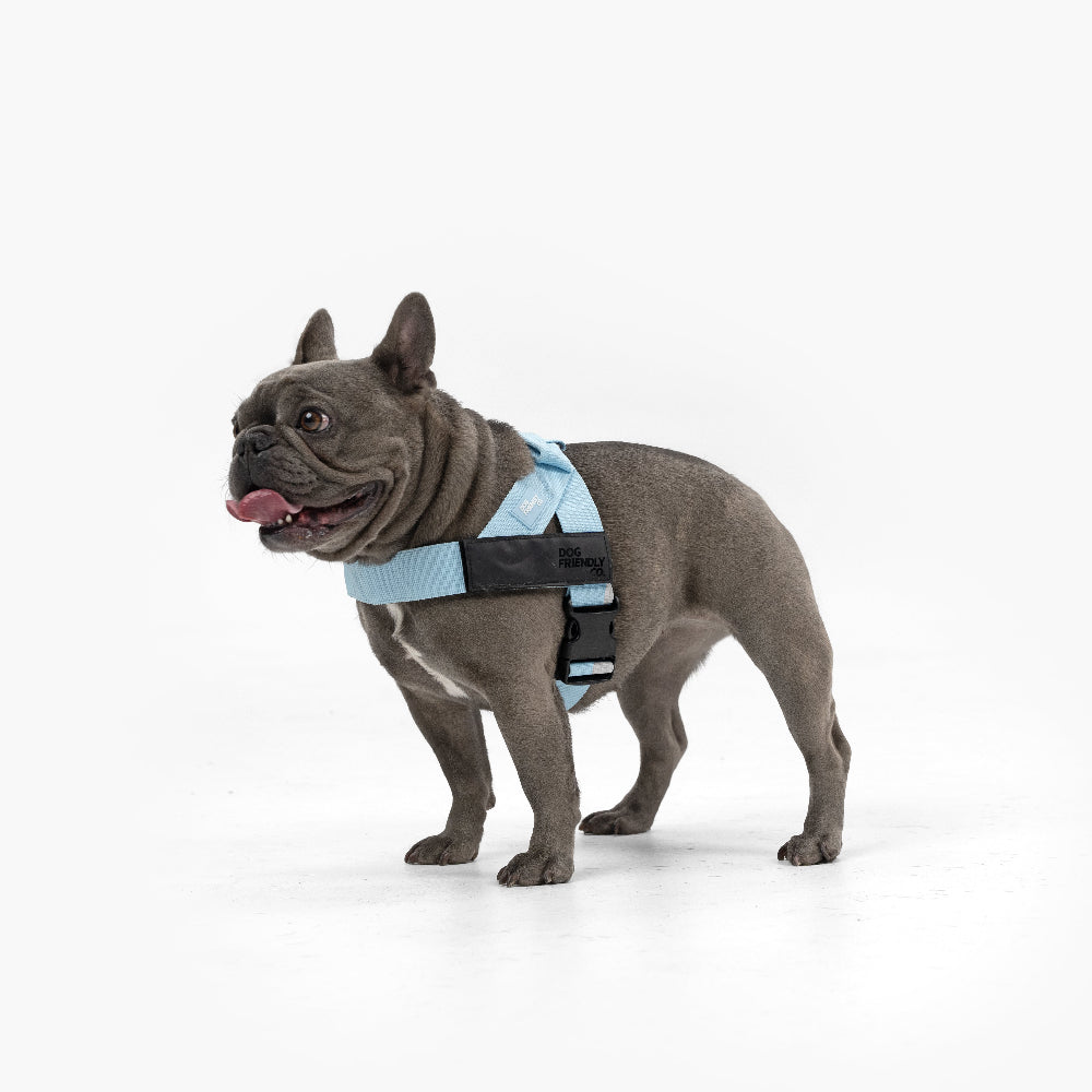 Dog Harness - Sky Blue