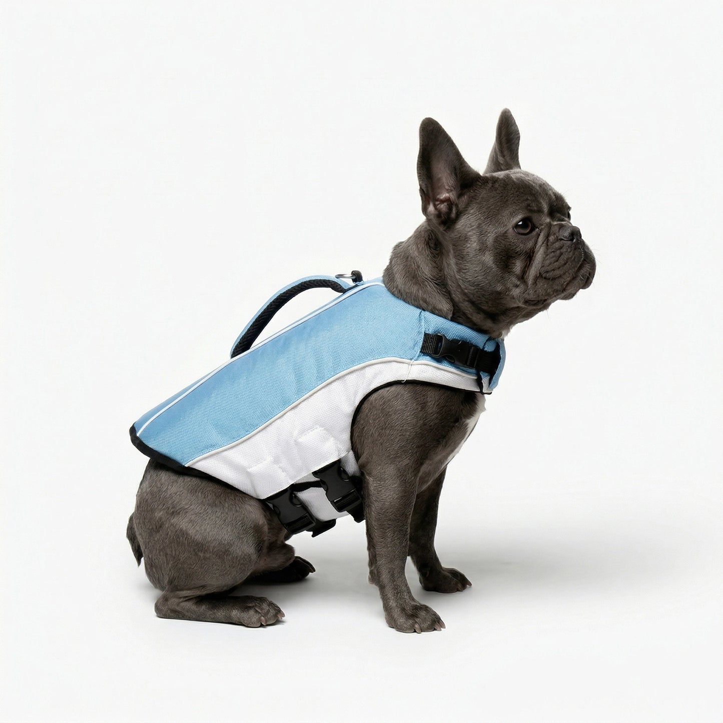 Dog Life Jacket