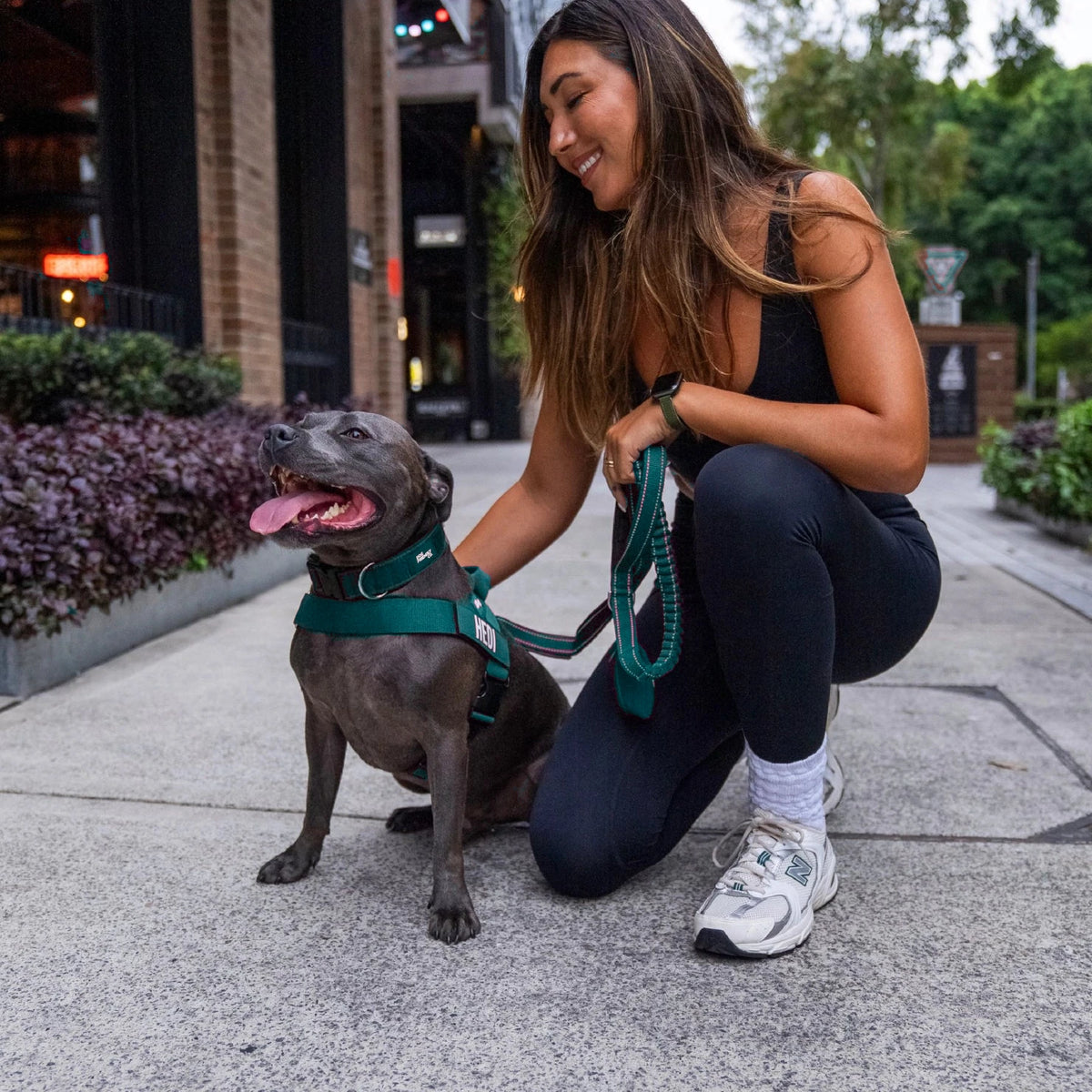Woman crouching beside a Staffy in the Forest harness and collar, holding the bungee leash