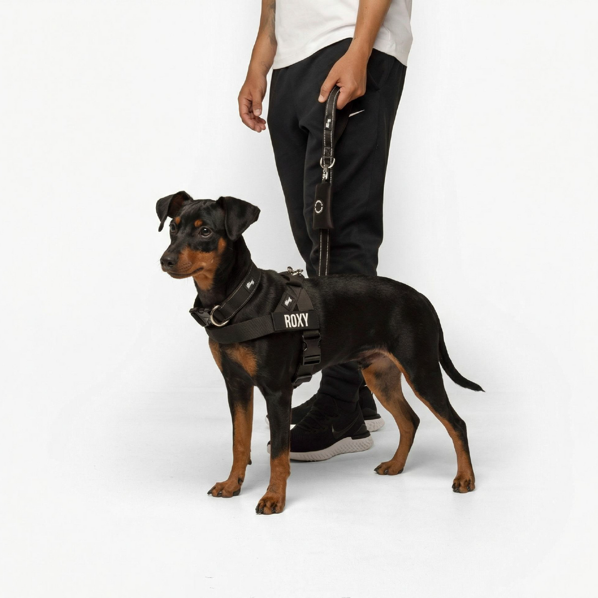 Dog Lovers Pack