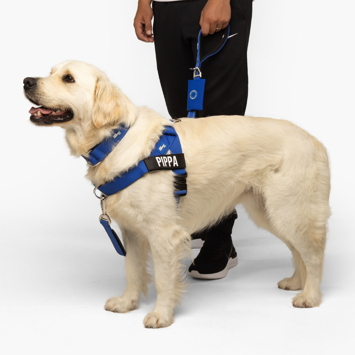 Dog Lovers Pack