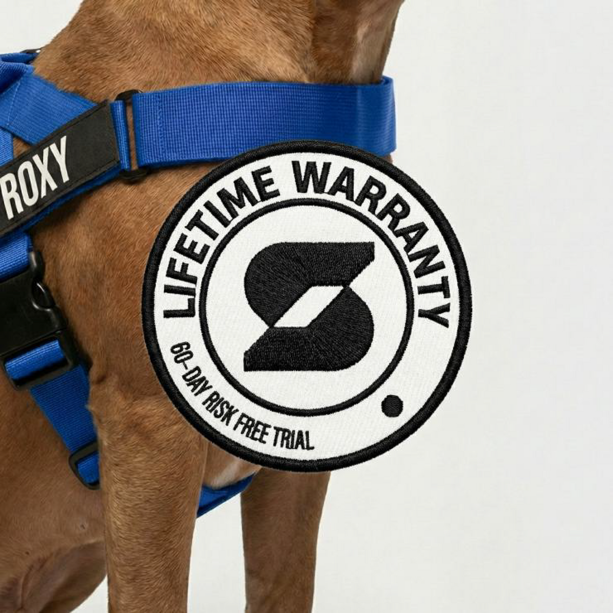 Dog Lovers Pack