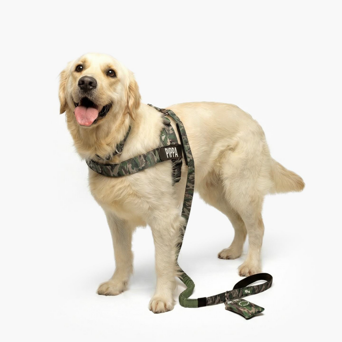 Dog Lovers Pack