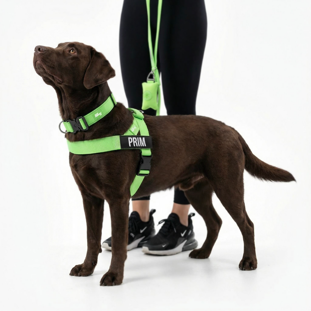 Dog Lovers Pack