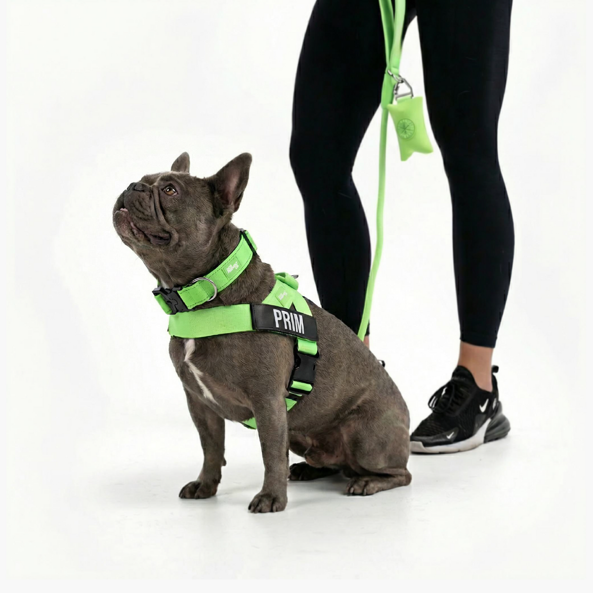 Dog Lovers Pack