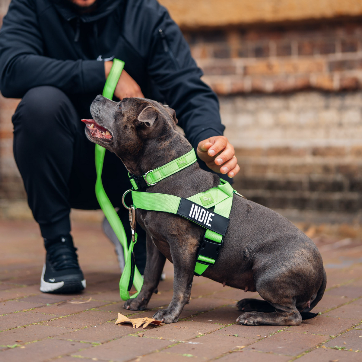 Dog Lovers Pack