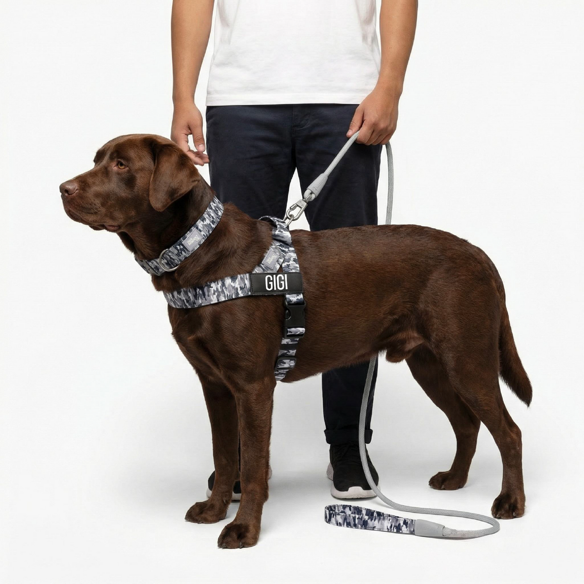 Dog Lovers Pack