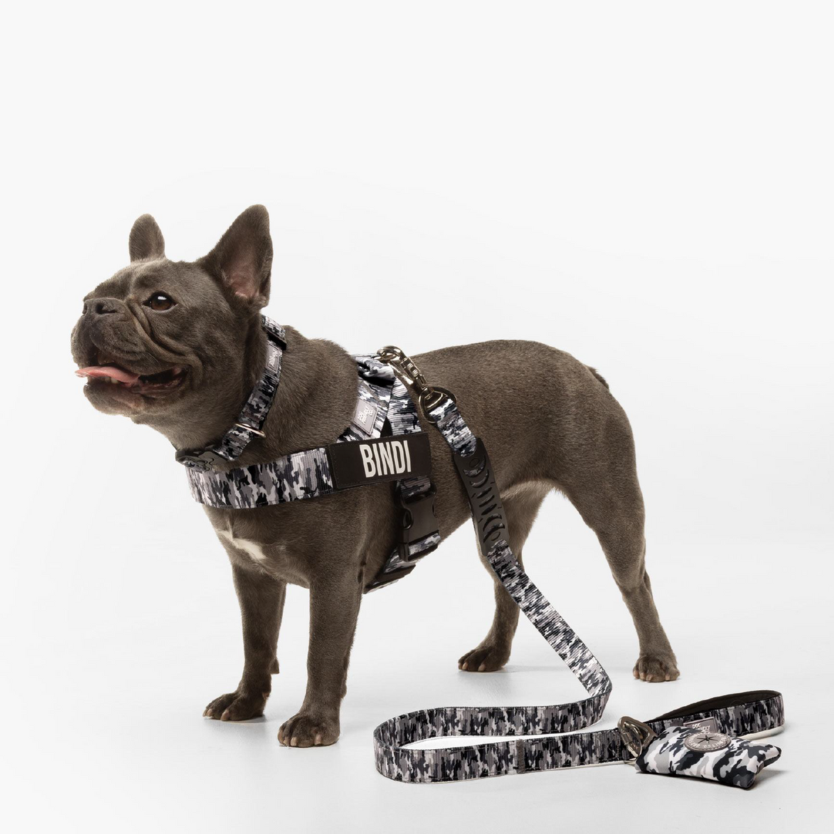 Dog Lovers Pack