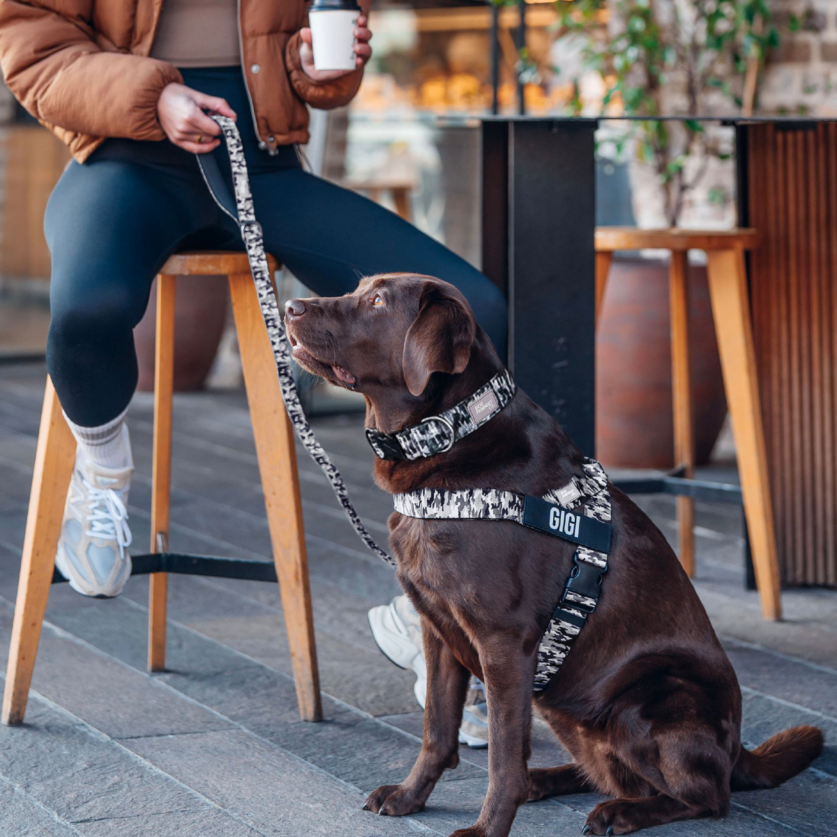 Dog Lovers Pack