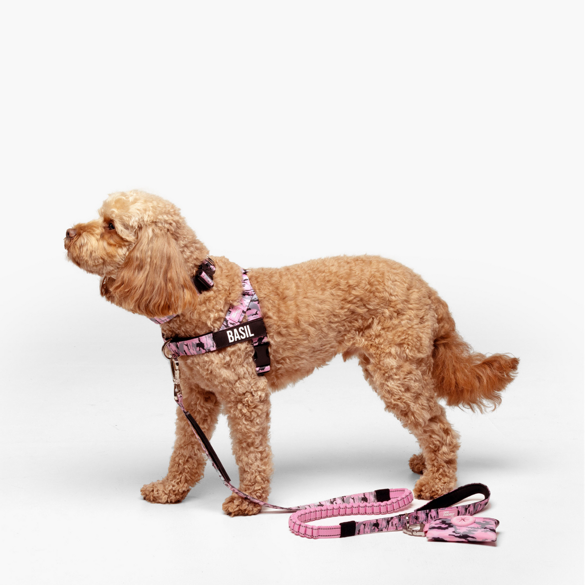 Dog Lovers Pack