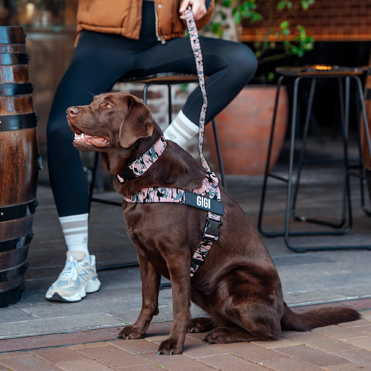Dog Lovers Pack