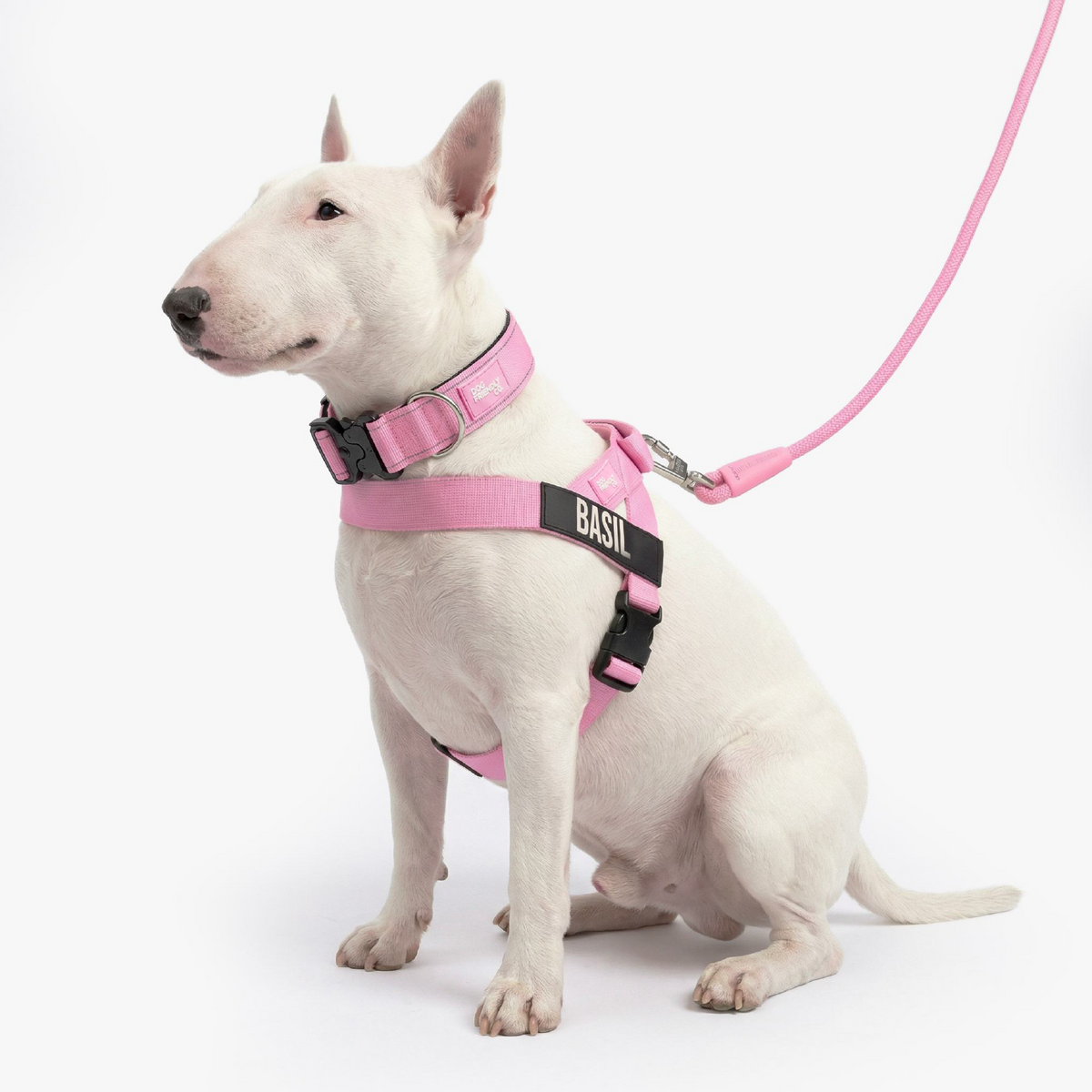 Dog Lovers Pack