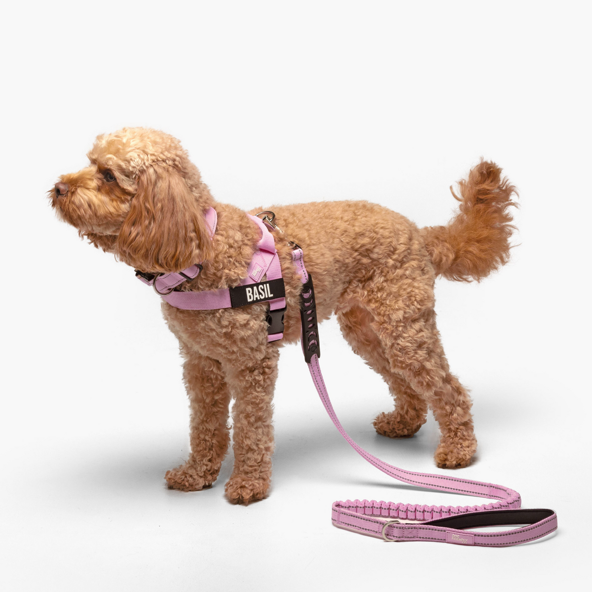 Dog Lovers Pack