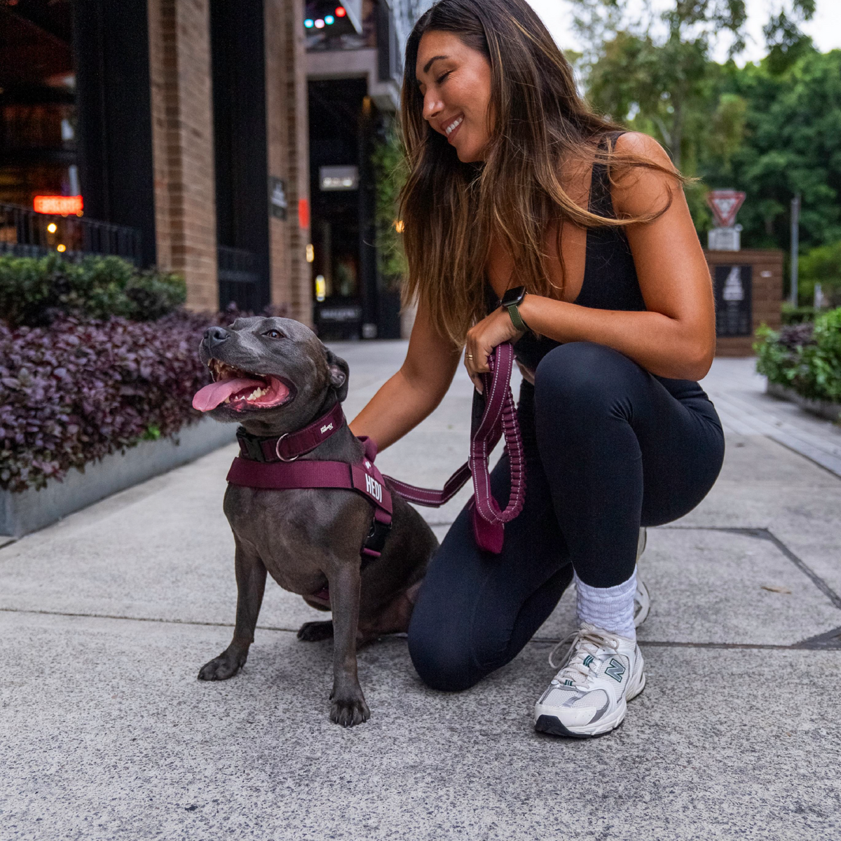 Dog Lovers Pack